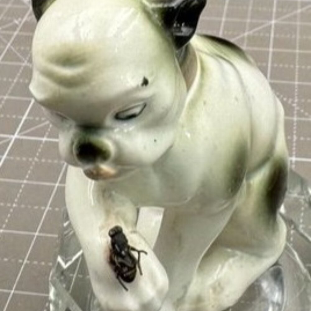 Antique Porcelain Dog Figurine With Fly on Paw READ